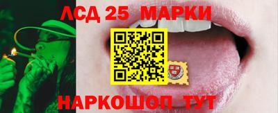 mdpv Славгород