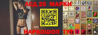 mdpv Славгород