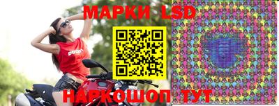 mdpv Славгород