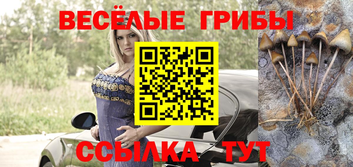 Галлюциногенные грибы Psilocybe  Вход с VPN  где купить наркоту  Галлюциногенные грибы Magic Shrooms  Нижний Новгород 